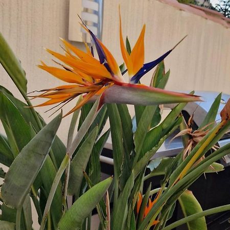 L'Oiseau Du Paradis Narbona Esterno foto